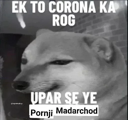 😒 Sticker #22 from Madarchod log