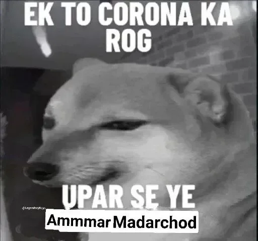 😒 Sticker #12 from Madarchod log