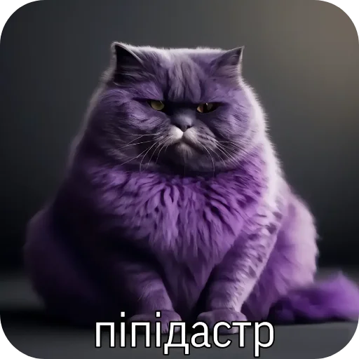 🐱 Sticker from Amazing Walrus