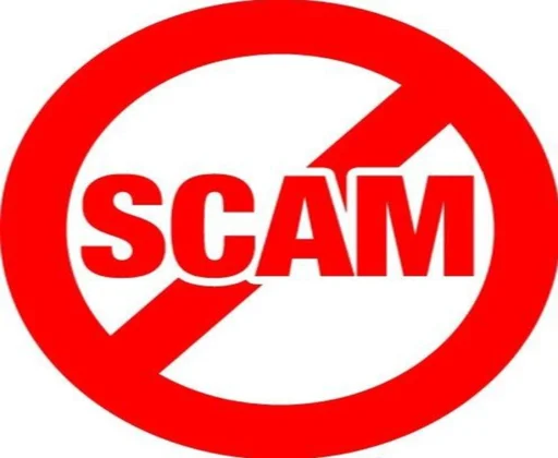 🤙 Sticker from SCAM