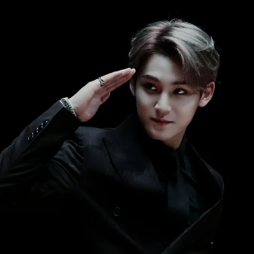 🔗 Sticker #20 from Kim mingyu pt2 | ⛩ ❬ @gubukseni ❭