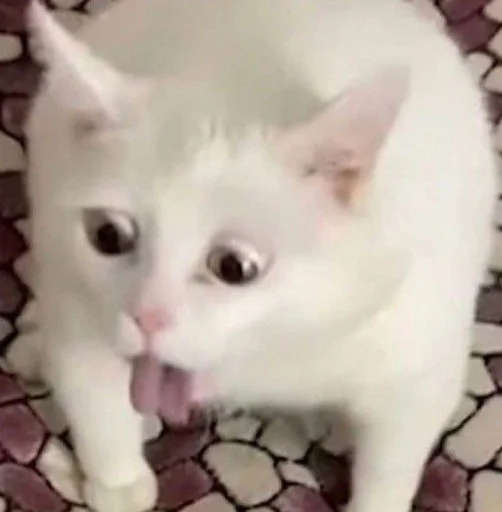🐱 Sticker from cute cat