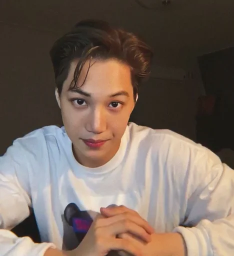 🍇 Sticker from Kai exo