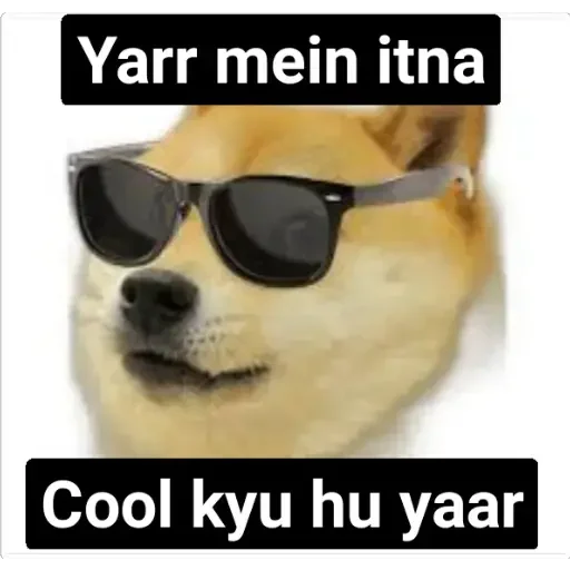 đ¤ Sticker #4 from Shailendra!'s pack 1