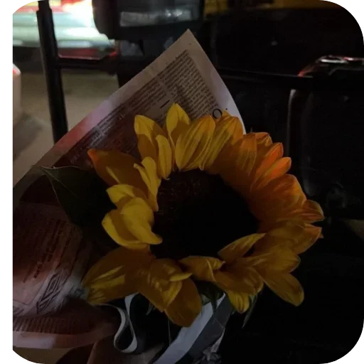 🌻 Sticker from Sunflower 🌻